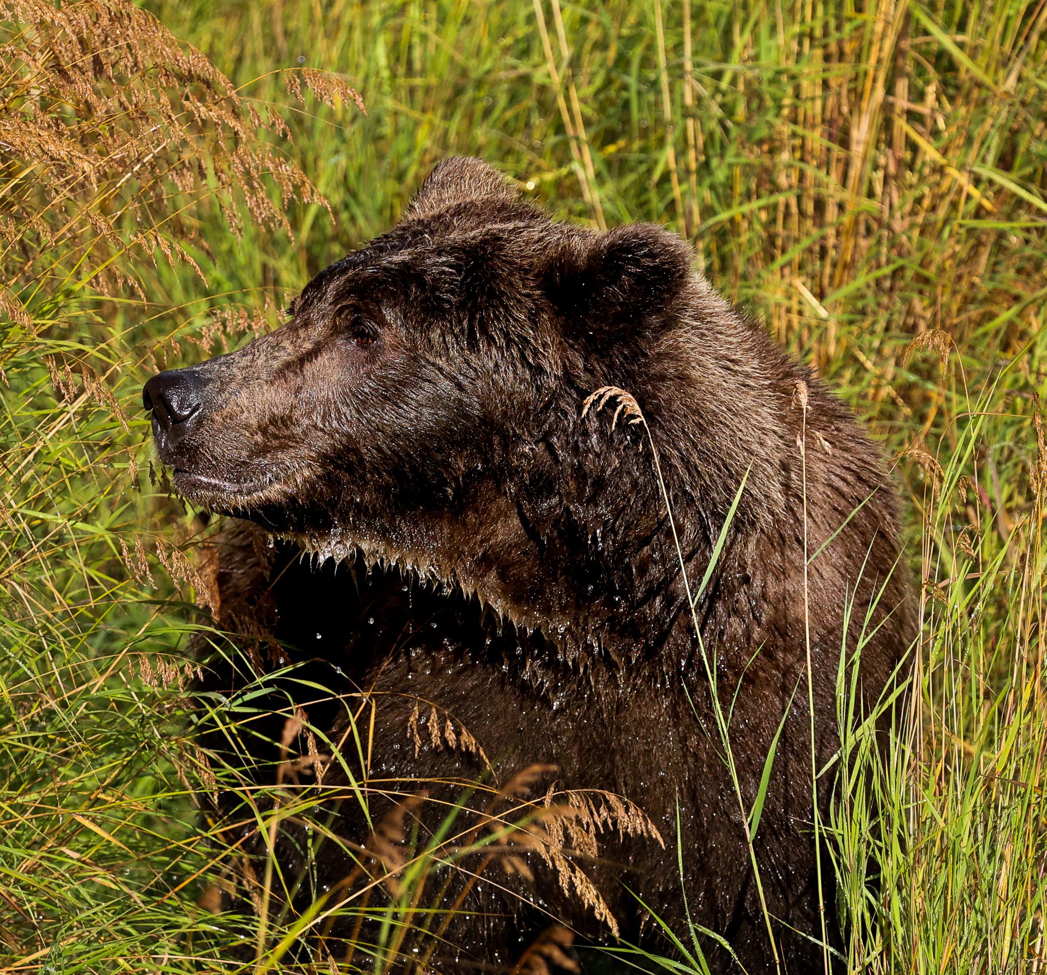 When to Book Your Alaska Adventure