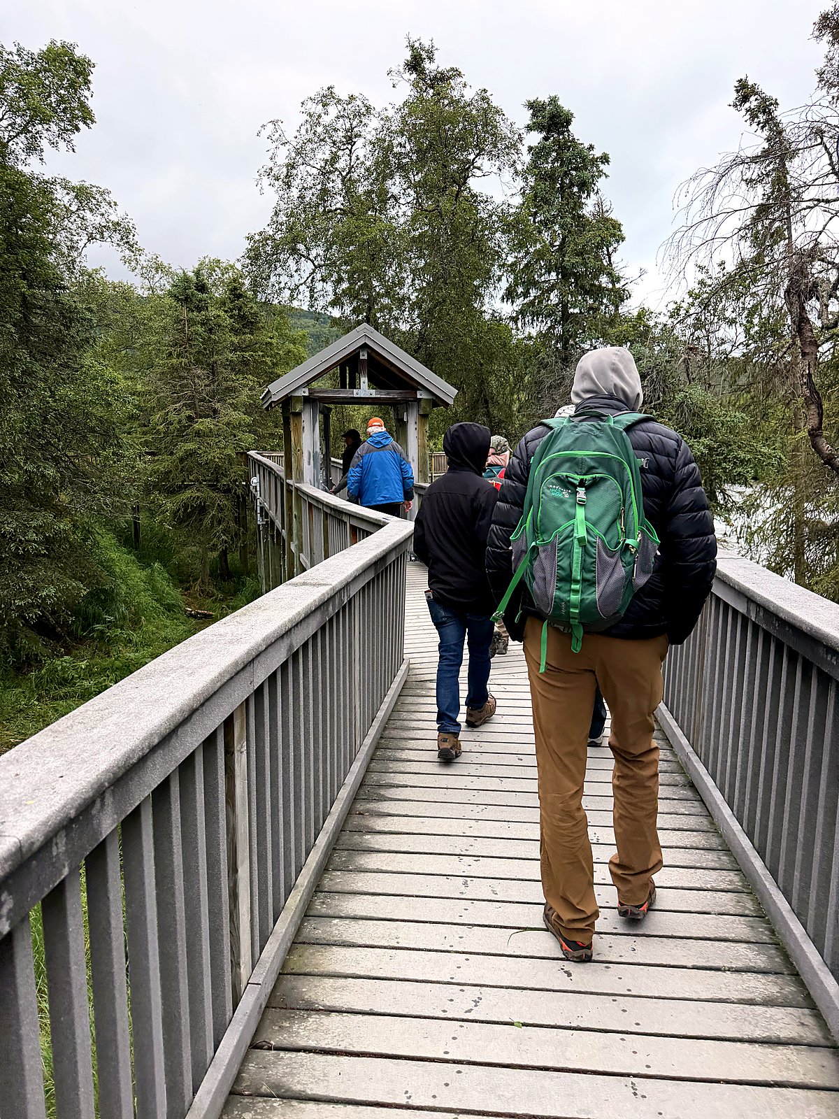 Visitors walking a raised boardwalk out toward the Brooks Falls viewing platform