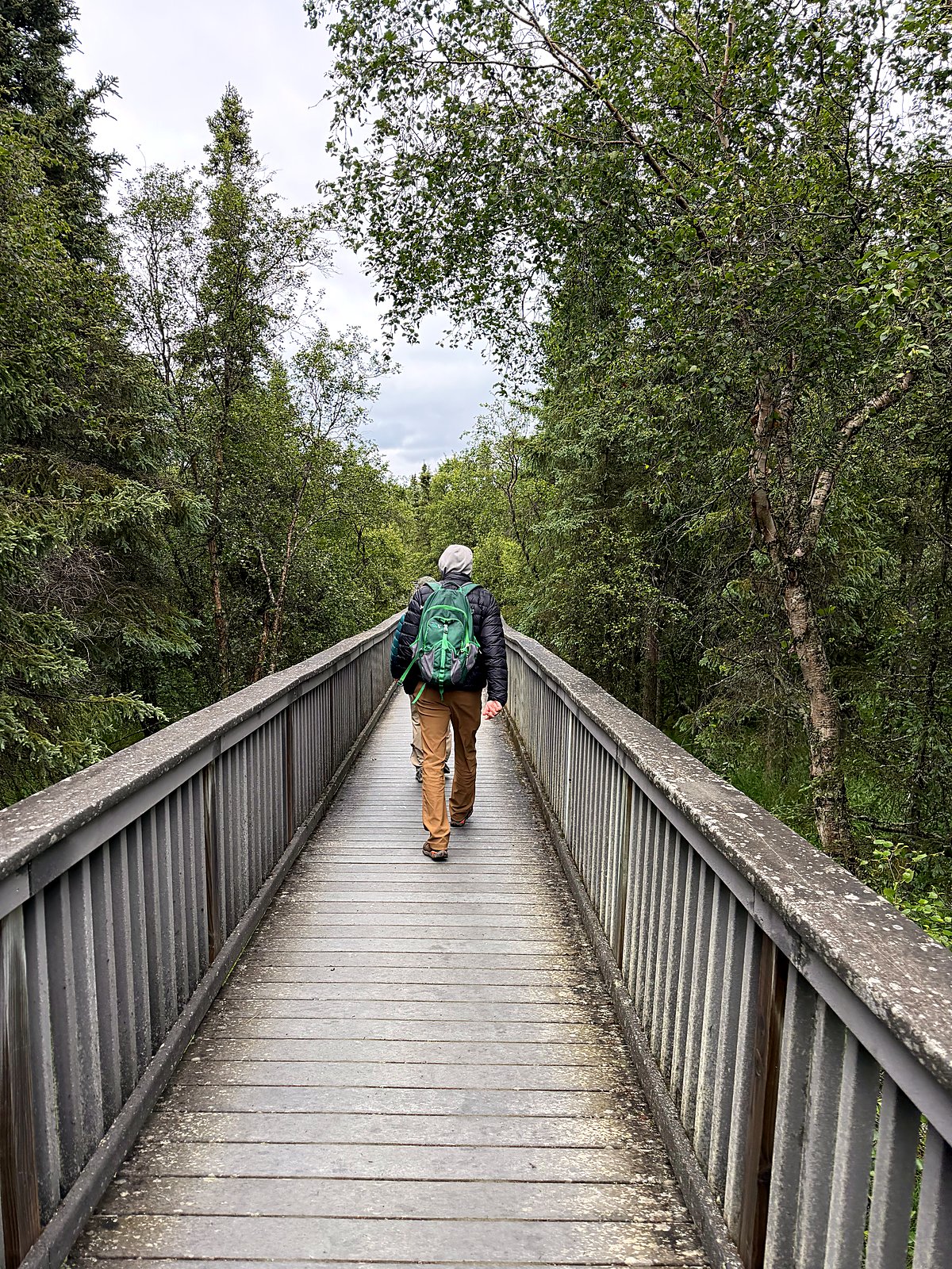 A raised wooden boardwalk trail winding through spruce forest toward Brooks Falls