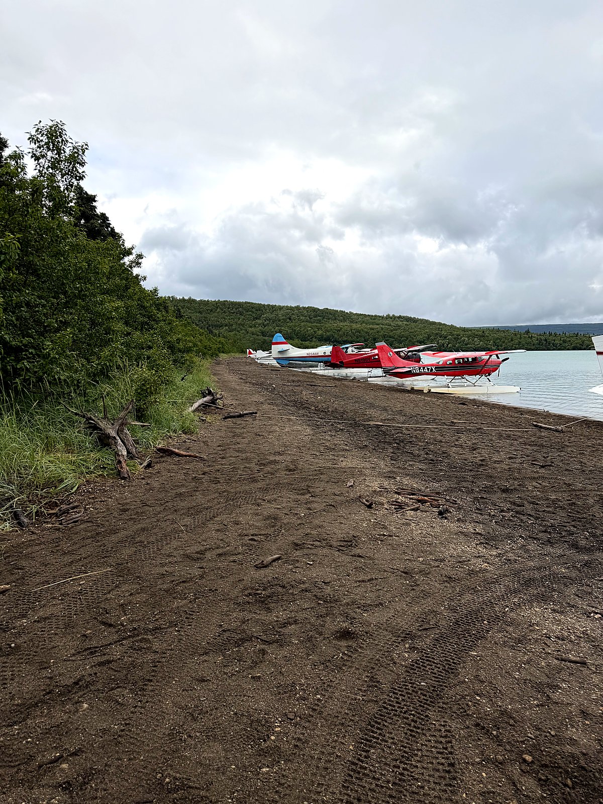 A red floatplane pulled up on the gravel beach at Brooks Camp on Naknek Lake